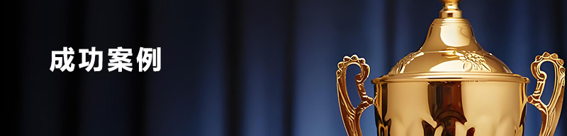 �Ͼ������ɹ�����